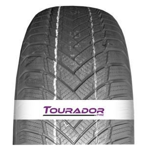Winter Pro Ts1