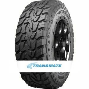 Transfortis Mt01