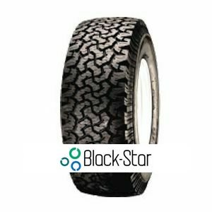 Blackstar Globetrotter 2 100QRechapé