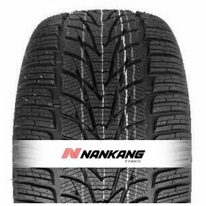 Nankang Winter Activa SV