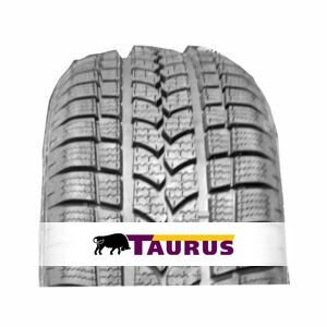 Taurus Winter 601